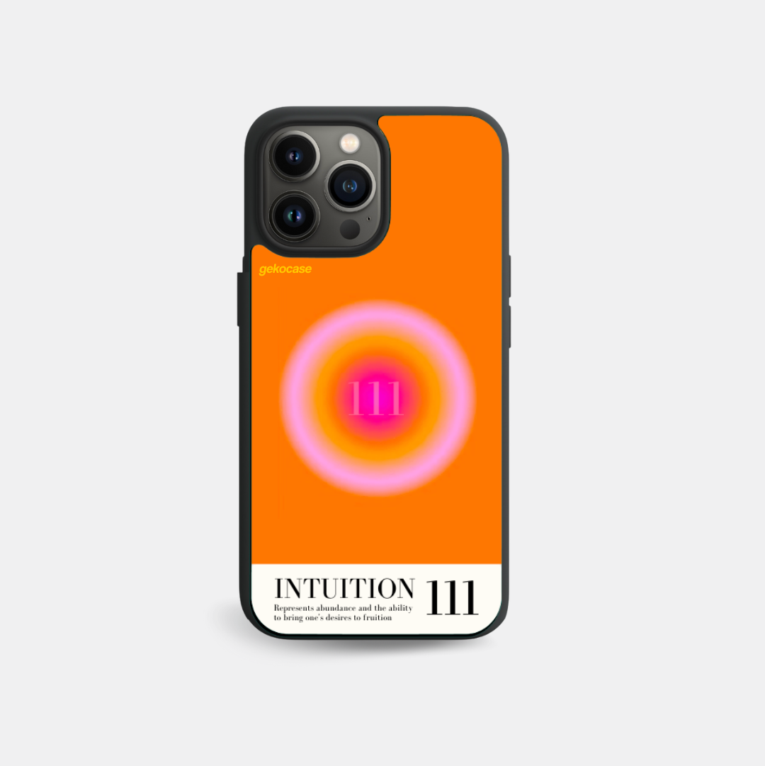 intuition 111 + gekocase original